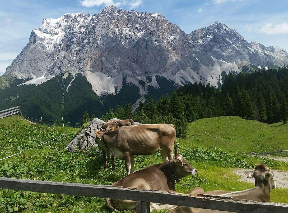 Halali - Dein Kleines An Der Zugspitze 3* Ehrwald